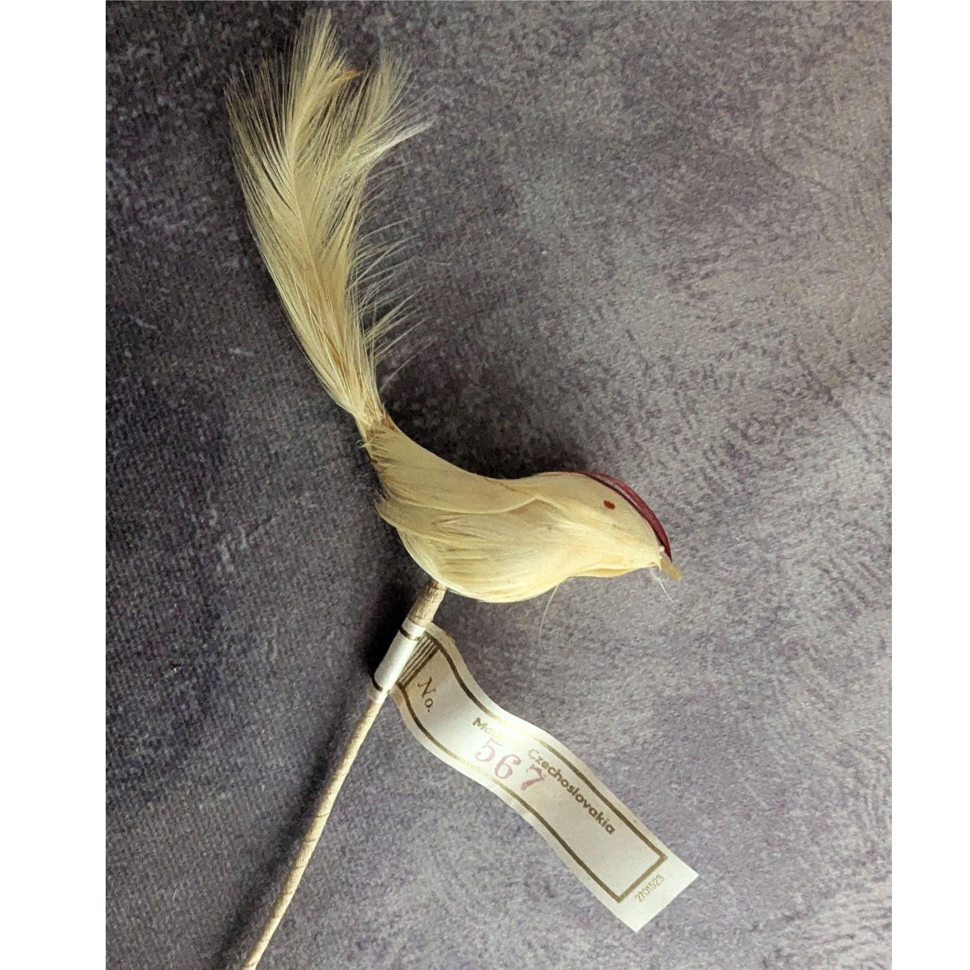 Bird Fascinator Hat - Etsy