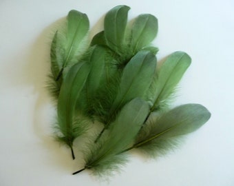 Moss Green Nagorie Goose Feathers Millinery Trim for Hats Fascinators Crafts Costumes Set of 12