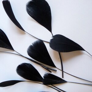 May include: A group of black feathers with long, thin stems. The feathers are arranged in a fan shape, with the tips of the feathers pointing outwards.