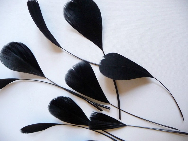 May include: A group of black feathers with long, thin stems. The feathers are arranged in a fan shape, with the tips of the feathers pointing outwards.