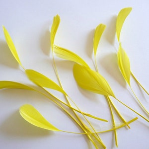 May include: A collection of yellow feathers arranged on a white background. The feathers are soft and delicate, with a natural, slightly textured appearance.
