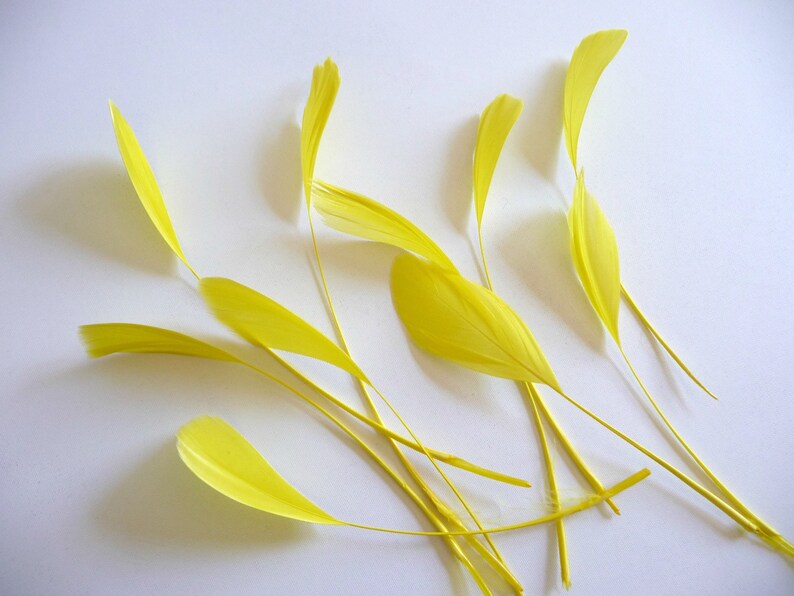 May include: A collection of yellow feathers arranged on a white background. The feathers are soft and delicate, with a natural, slightly textured appearance.