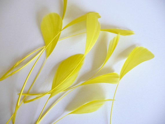 10 Bright Yellow Stripped Coque Feathers Small Dyed and Trimmed Millinery for Hats Fascinators Crafts Masks Costumes