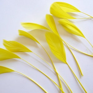 May include: A collection of yellow feathers arranged in a fan shape on a white background. The feathers are soft and delicate, with a natural, slightly textured appearance.