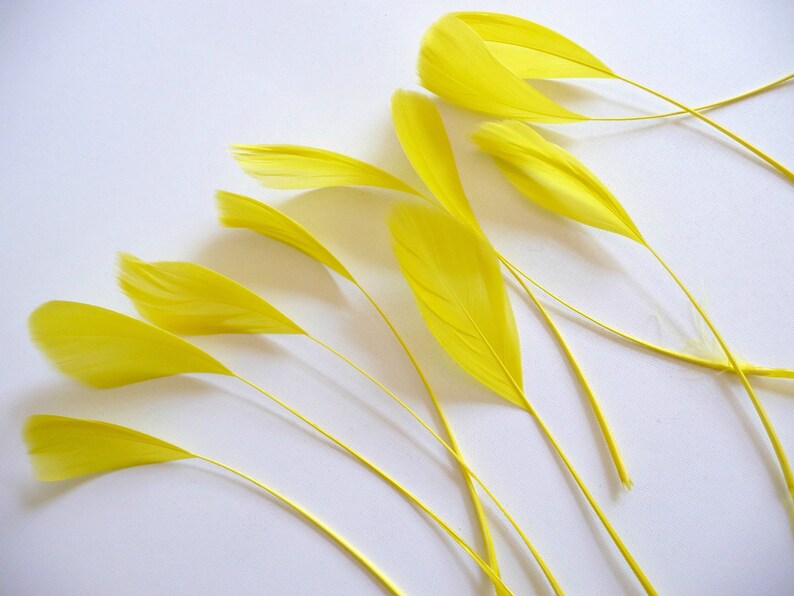 May include: A collection of yellow feathers arranged in a fan shape on a white background. The feathers are soft and delicate, with a natural, slightly textured appearance.