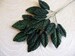 Velvet Leaves Forest Dark Green Millinery Beautiful Chic Spray of 18 for Hats Hair Scrapbooking, Fascinators Crafts 7LN0003G2 