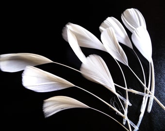 10 White Stripped Coque Feathers Small Dyed and Trimmed Millinery for Hats Fascinators Crafts Masks Costumes