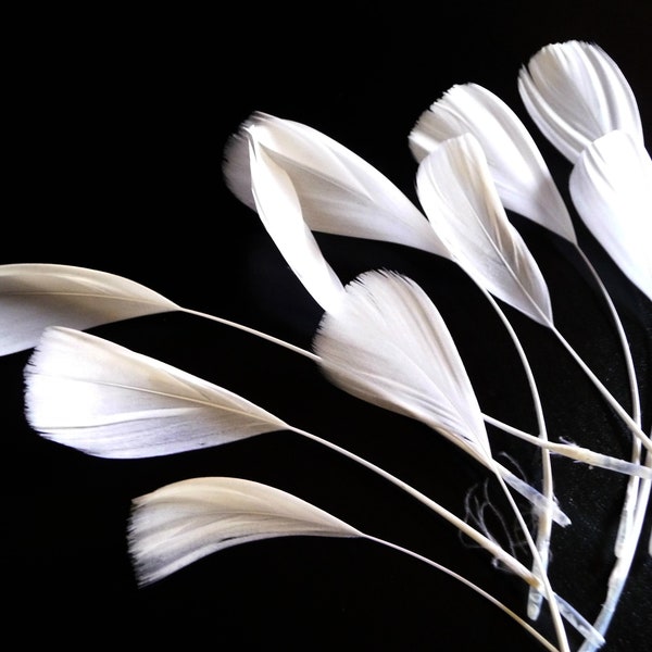 White Stripped Coque Feathers Small Dyed and Trimmed Millinery for Hats Fascinators Crafts Masks Costumes