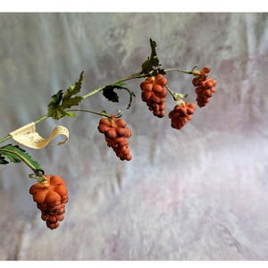 ˚✧₊⁎断捨離SALE品⁎⁺˳✧༚ ♡ フランスアンティーク ハット♡ 布花 ホップフラワー ヴィンテージ 帽子飾り 花 ぶら下がる花 さび茶色 帽子