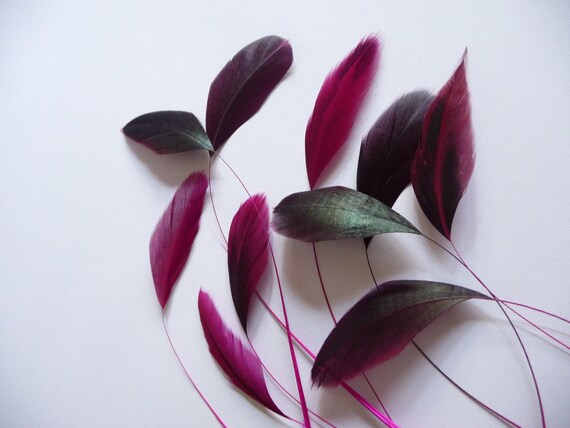 100 Pcs hot pink irridescent coque feathers