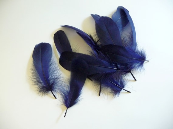 Navy Blue Nagorie Goose Feathers 