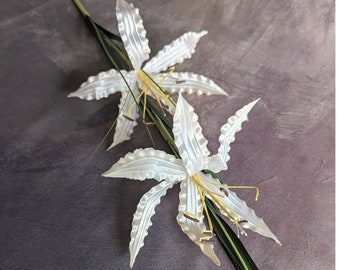 値下FAUNE / Hibiscus Vintage White / 6-8 6
