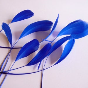 Royal Blue Stripped Coque Feathers Small Cobalt Dyed and Trimmed Millinery for Hats Fascinators Crafts Masks Costumes image 3