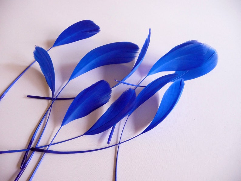 Royal Blue Stripped Coque Feathers Small Cobalt Dyed and Trimmed Millinery for Hats Fascinators Crafts Masks Costumes image 3