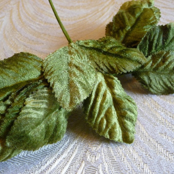 Green Velvet Leaves 1 Bunch of 6 Sprigs 18 Leaves Millinery Supply for Hats, Crafts