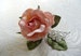 Pink Velvet Rose Millinery Flower Forget Me Nots Leaves Peachy Pink for Corsages Hats Hair Clips Bridal Bouquets Crafts 3FN0076P 