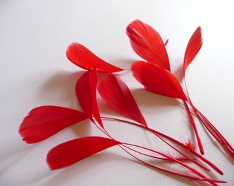 Red Stripped Coque Feathers Small Dyed and Trimmed Millinery for Hats Fascinators Crafts Masks Costumes