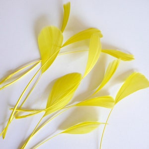 May include: A bunch of bright yellow feathers on a white background.