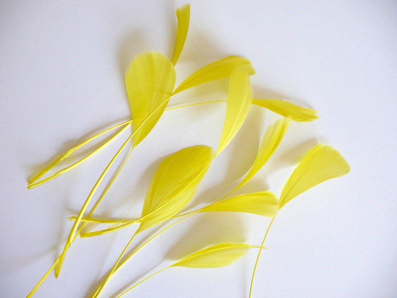 May include: A bunch of bright yellow feathers on a white background.