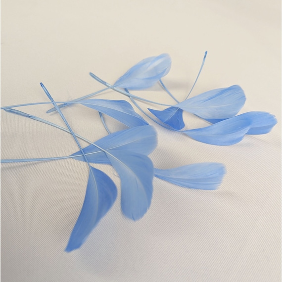 10 Light Blue Stripped Coque Feathers Small Cobalt Dyed and Trimmed Millinery for Hats Fascinators Crafts Masks Costumes
