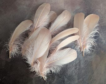 Pinky Beige Nagorie Goose Feathers Millinery Trim for Hats Fascinators Crafts Costumes Set of 12