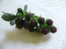 Millinery Raspberry Spray Wine Burgundy Berries Mulberries Beaded Fruit for Hats Crafts Hair Crowns Clips Costumes NOS F19B 