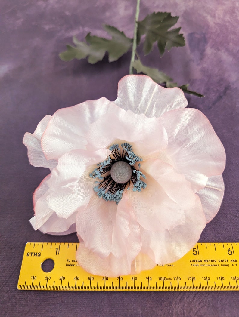 K&ouml;nnte beinhalten: Eine hellrosa Seidenmohnblume mit einem blauen und grauen Zentrum. Die Blume liegt auf einer violetten Oberfl&auml;che mit einem gelben Lineal daneben.