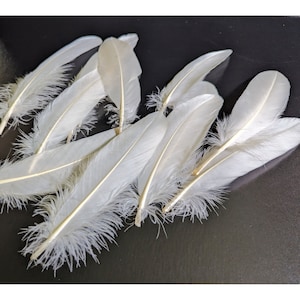 Ivory Goose Feathers Dyed Millinery Goose Satinettes Trim for Hats Fascinators Crafts Costumes Set of 12