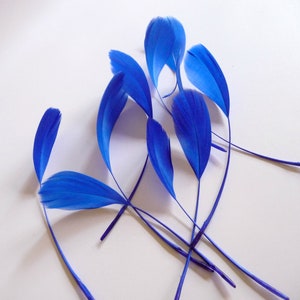 Royal Blue Stripped Coque Feathers Small Cobalt Dyed and Trimmed Millinery for Hats Fascinators Crafts Masks Costumes image 2