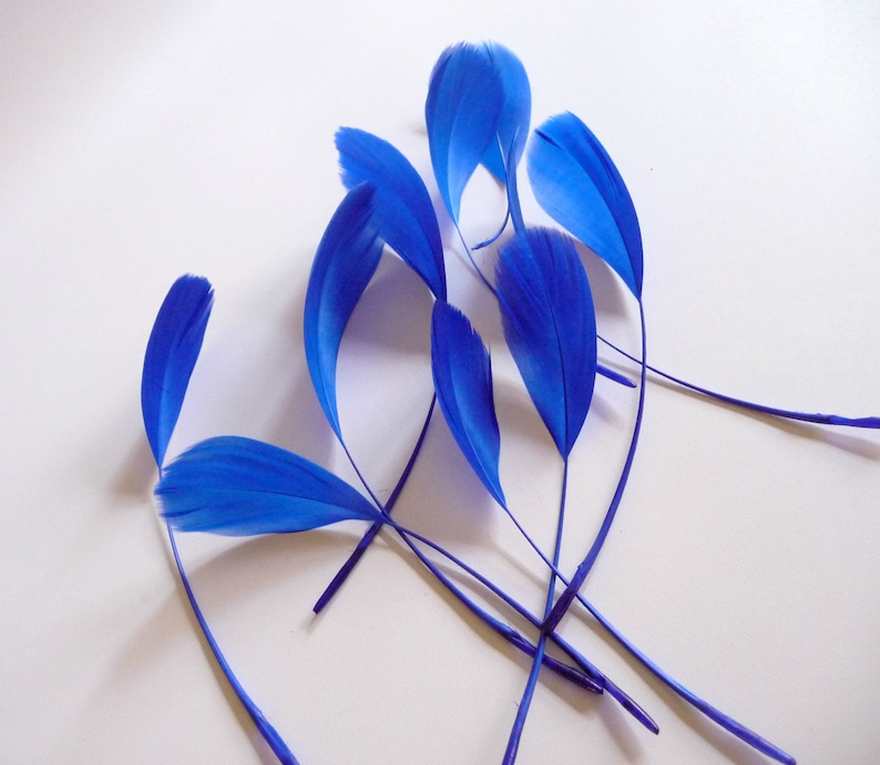 Royal Blue Stripped Coque Feathers Small Cobalt Dyed and Trimmed Millinery for Hats Fascinators Crafts Masks Costumes image 2