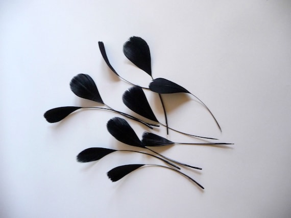 10 Black Stripped Coque Feathers Small Dyed and Trimmed Millinery for Hats Fascinators Crafts Masks Costumes