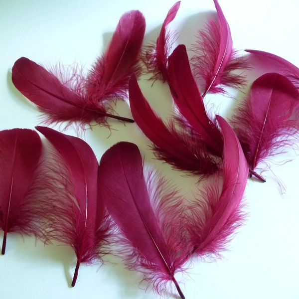 Burgundy Nagorie Goose Feathers Maroon Millinery Trim for Hats Fascinators Crafts Costumes Set of 12