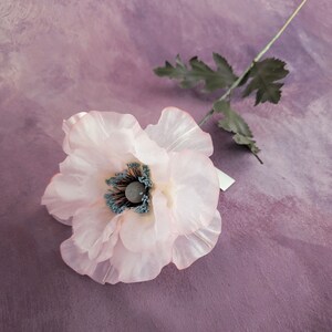 K&ouml;nnte beinhalten: Eine einzelne rosa Seidenmohnblume mit einem blauen Zentrum auf einem violetten Hintergrund.