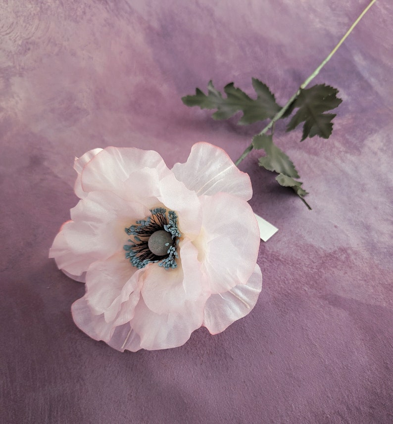 K&ouml;nnte beinhalten: Eine einzelne rosa Seidenmohnblume mit einem blauen Zentrum auf einem violetten Hintergrund.