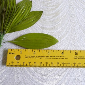 Bunch of 36 Vintage Millinery Leaves Green Embossed Fabric NOS Lily Long Leaf Handmade in USA for Hats, Crafts, Scrapbooking, Costumes image 3