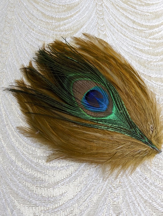 Vintage Drab Olive Brown Peacock Eye Feather Pad Millinery