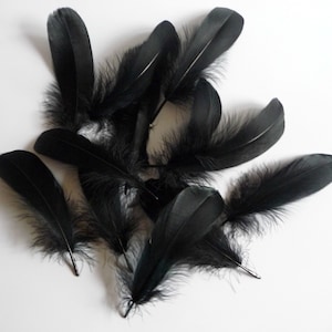 Black Nagorie Goose Feathers Millinery Trim for Hats Fascinators Crafts Costumes Set of 12