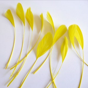 May include: A collection of bright yellow feathers arranged on a white background. The feathers are long and slender, with a delicate texture.