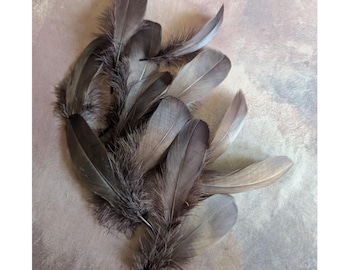 Brown Nagorie Goose Feathers Millinery Trim for Hats Fascinators Crafts Costumes Set of 12