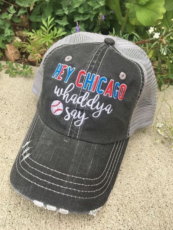 cubs world series shirt and hat