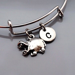 Pode incluir: Pulseira de prata com um charme de hipopótamo e um charme de letra C.