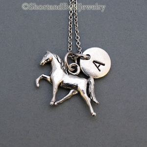 Puede incluir: Collar de plata con un dije de caballo y un dije inicial de plata. El dije inicial es un círculo con la letra A grabada.