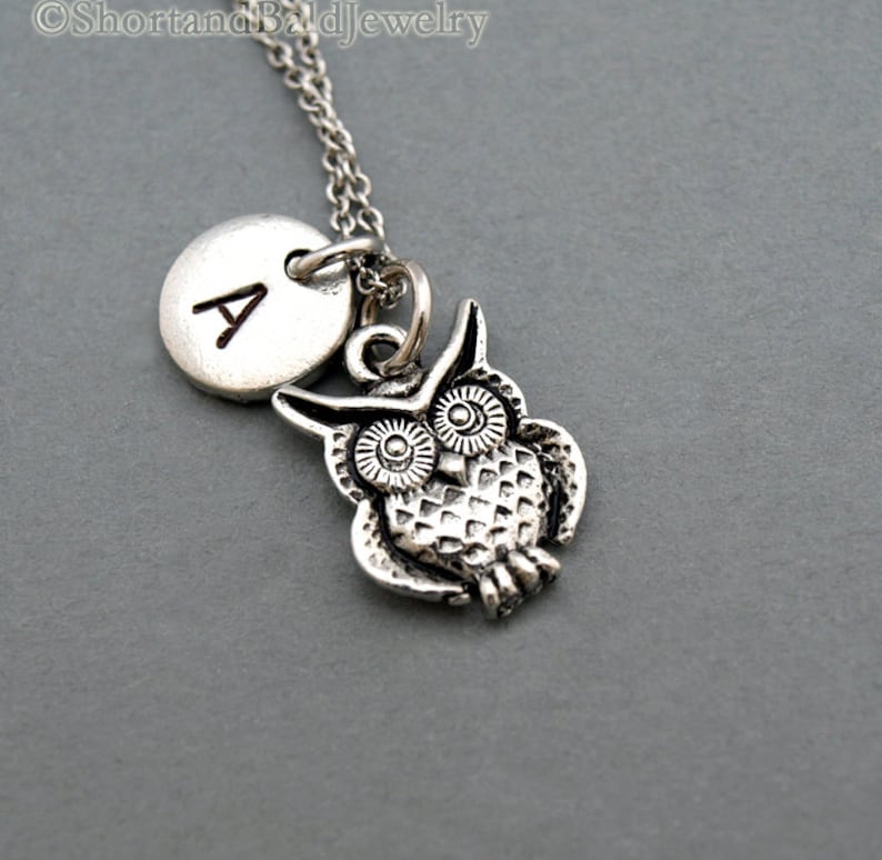Owl Charm Necklace Owls Owl Charm Jewelry Birds Initial Etsy