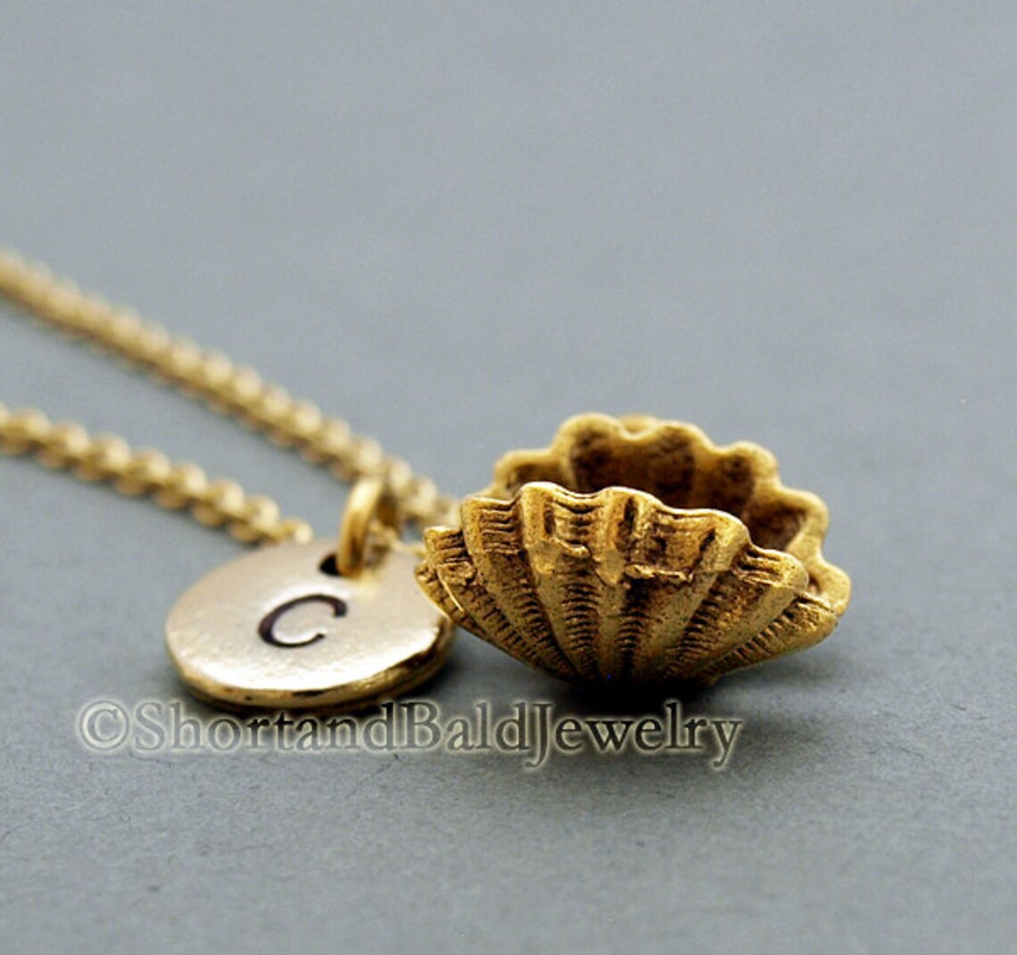 Oyster With Pearl Necklace Clam Shell Oyster Shell World is - Etsy