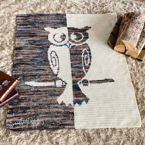 Puede incluir: Una manta de ganchillo hecha a mano con un diseño dividido con un motivo de búho marrón y crema. El búho está posado en una rama, con el fondo de la manta dividido en dos bloques de color. La manta está sobre una alfombra crema y esponjosa.