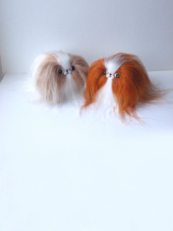 japanese chin colors red & white