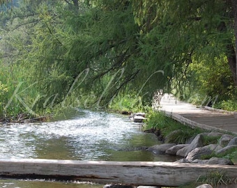 May include: A wooden walkway leads through a lush green forest, with a river flowing beneath it. The path is lined with rocks and greenery, creating a serene and natural setting.