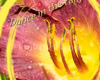 Floral Photography Quote Fine Art Photograph Burgundy Lily dew drops macro flower home office wall decor art yellow maroon Words to Live By