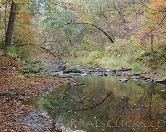 May include: A serene landscape featuring a stream flowing through a forest. The water reflects the surrounding trees and sky. The trees display autumn colors, with shades of yellow, orange, and green. The stream bed is rocky, and fallen leaves line the banks.
