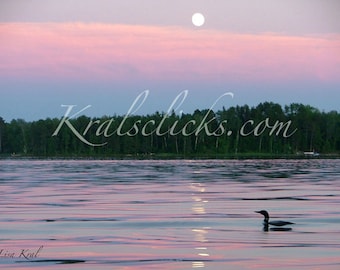 Loon Photograph Lake Strawberry Moon Silhouette Fine Art Photography Home Cabin Office Wall Decor pink blue green black nature state bird